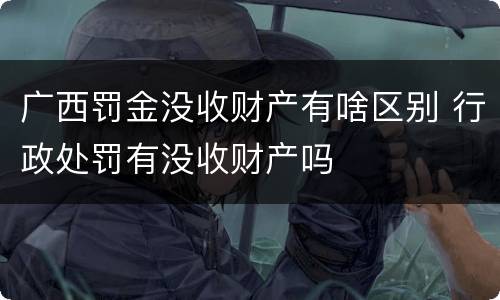 广西罚金没收财产有啥区别 行政处罚有没收财产吗