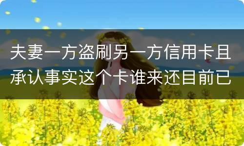 夫妻一方盗刷另一方信用卡且承认事实这个卡谁来还目前已经离婚