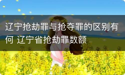 辽宁抢劫罪与抢夺罪的区别有何 辽宁省抢劫罪数额