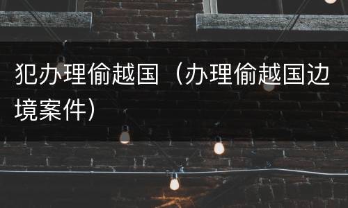 犯办理偷越国（办理偷越国边境案件）