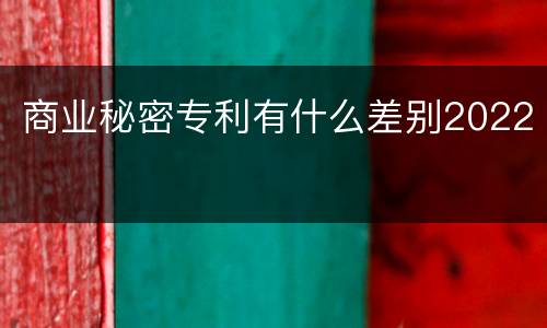 商业秘密专利有什么差别2022