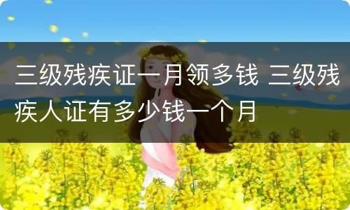 三级残疾证一月领多钱 三级残疾人证有多少钱一个月