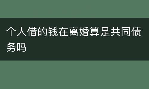 个人借的钱在离婚算是共同债务吗