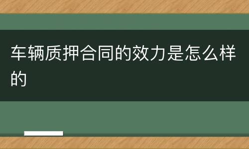 车辆质押合同的效力是怎么样的