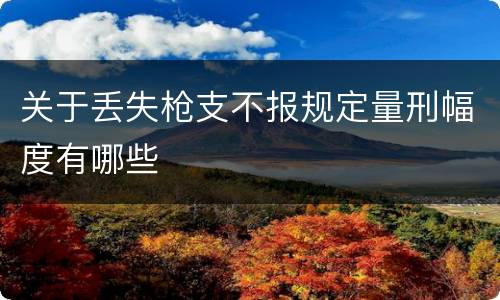 关于丢失枪支不报规定量刑幅度有哪些