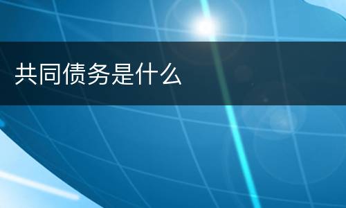 共同债务是什么