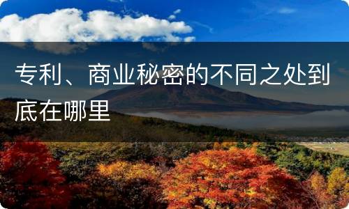专利、商业秘密的不同之处到底在哪里