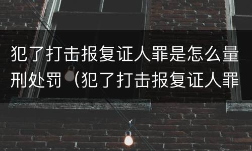 犯了打击报复证人罪是怎么量刑处罚（犯了打击报复证人罪是怎么量刑处罚的）