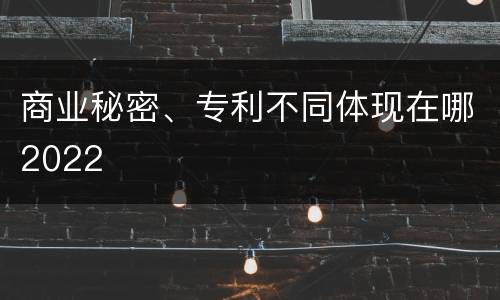 商业秘密、专利不同体现在哪2022