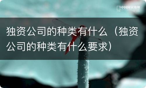 独资公司的种类有什么（独资公司的种类有什么要求）