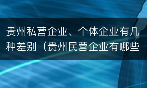 贵州私营企业、个体企业有几种差别（贵州民营企业有哪些）