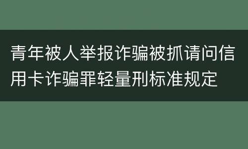 青年被人举报诈骗被抓请问信用卡诈骗罪轻量刑标准规定