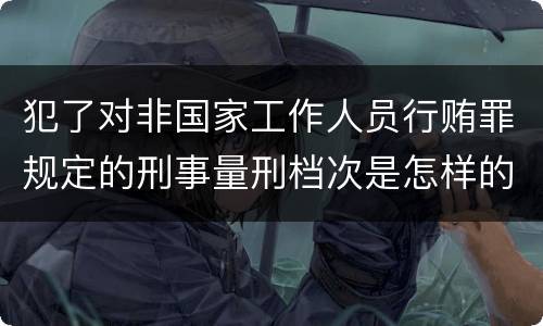犯了对非国家工作人员行贿罪规定的刑事量刑档次是怎样的