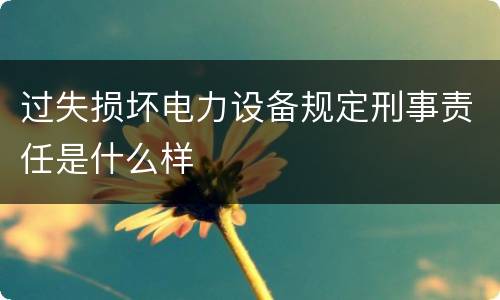 过失损坏电力设备规定刑事责任是什么样