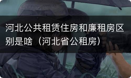 河北公共租赁住房和廉租房区别是啥（河北省公租房）