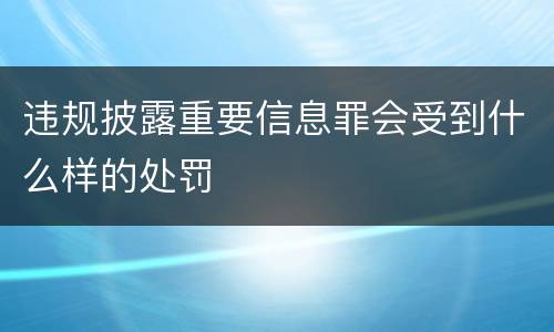 违规披露重要信息罪会受到什么样的处罚