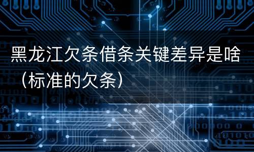 黑龙江欠条借条关键差异是啥（标准的欠条）