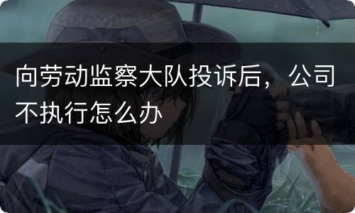 向劳动监察大队投诉后，公司不执行怎么办