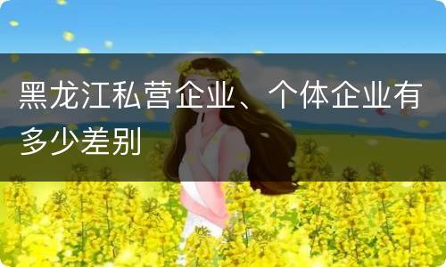 黑龙江私营企业、个体企业有多少差别
