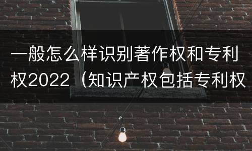 一般怎么样识别著作权和专利权2022（知识产权包括专利权和著作权吗）