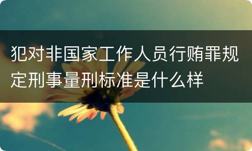犯对非国家工作人员行贿罪规定刑事量刑标准是什么样