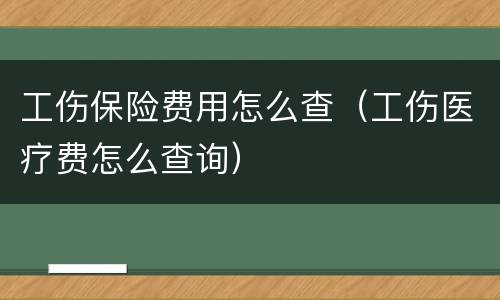 工伤保险费用怎么查（工伤医疗费怎么查询）