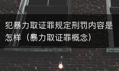 犯暴力取证罪规定刑罚内容是怎样（暴力取证罪概念）