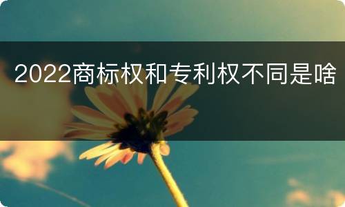 2022商标权和专利权不同是啥