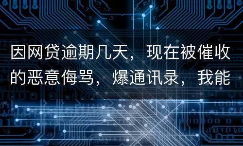 因网贷逾期几天，现在被催收的恶意侮骂，爆通讯录，我能起诉不