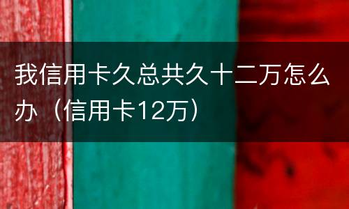 我信用卡久总共久十二万怎么办（信用卡12万）
