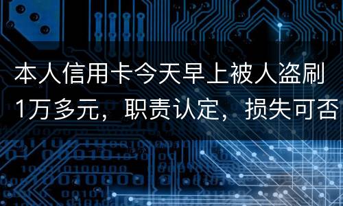 本人信用卡今天早上被人盗刷1万多元，职责认定，损失可否还能追讨去