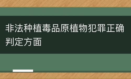 非法种植毒品原植物犯罪正确判定方面