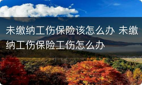 未缴纳工伤保险该怎么办 未缴纳工伤保险工伤怎么办