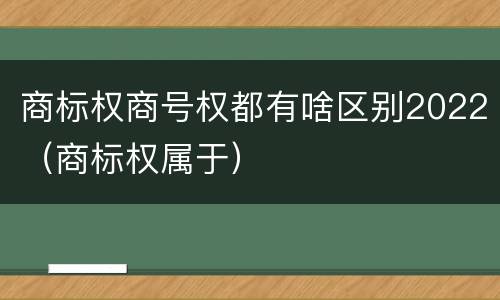 商标权商号权都有啥区别2022（商标权属于）