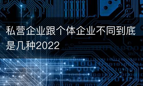 私营企业跟个体企业不同到底是几种2022