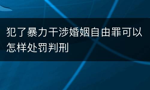 犯了暴力干涉婚姻自由罪可以怎样处罚判刑
