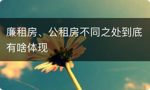 廉租房、公租房不同之处到底有啥体现