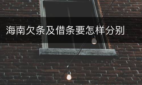 海南欠条及借条要怎样分别
