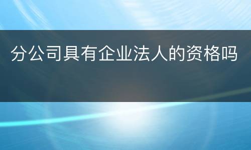 分公司具有企业法人的资格吗