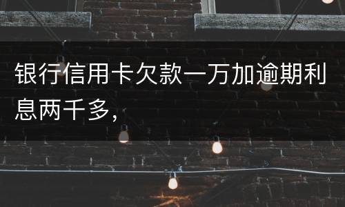 银行信用卡欠款一万加逾期利息两千多，