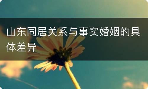山东同居关系与事实婚姻的具体差异