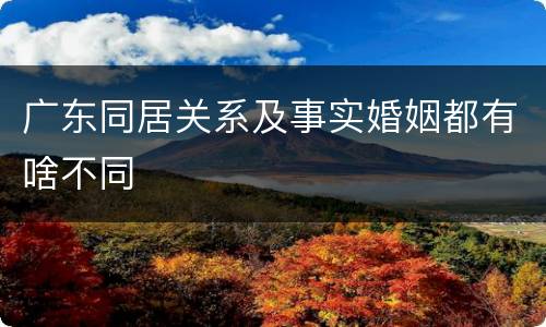 广东同居关系及事实婚姻都有啥不同