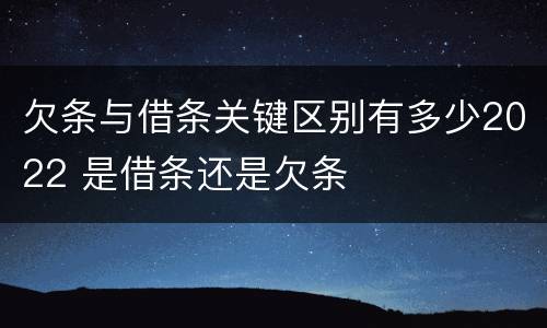 欠条与借条关键区别有多少2022 是借条还是欠条