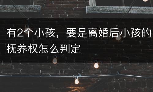 有2个小孩，要是离婚后小孩的抚养权怎么判定