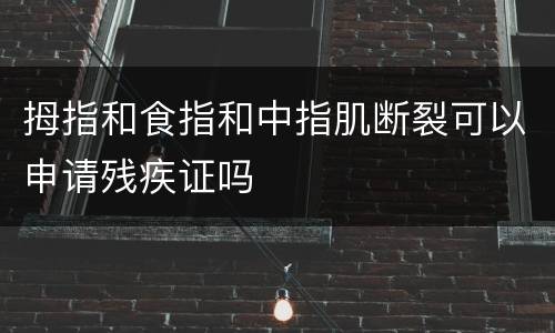 拇指和食指和中指肌断裂可以申请残疾证吗