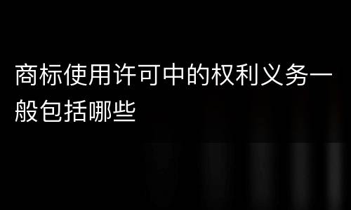 商标使用许可中的权利义务一般包括哪些