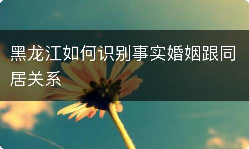 黑龙江如何识别事实婚姻跟同居关系