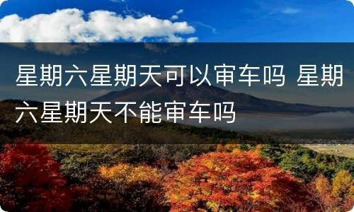 星期六星期天可以审车吗 星期六星期天不能审车吗