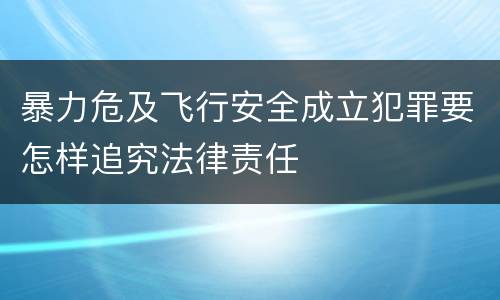 暴力危及飞行安全成立犯罪要怎样追究法律责任