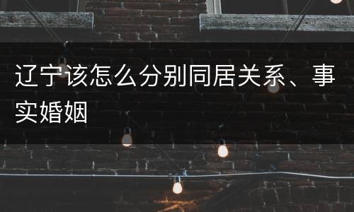辽宁该怎么分别同居关系、事实婚姻